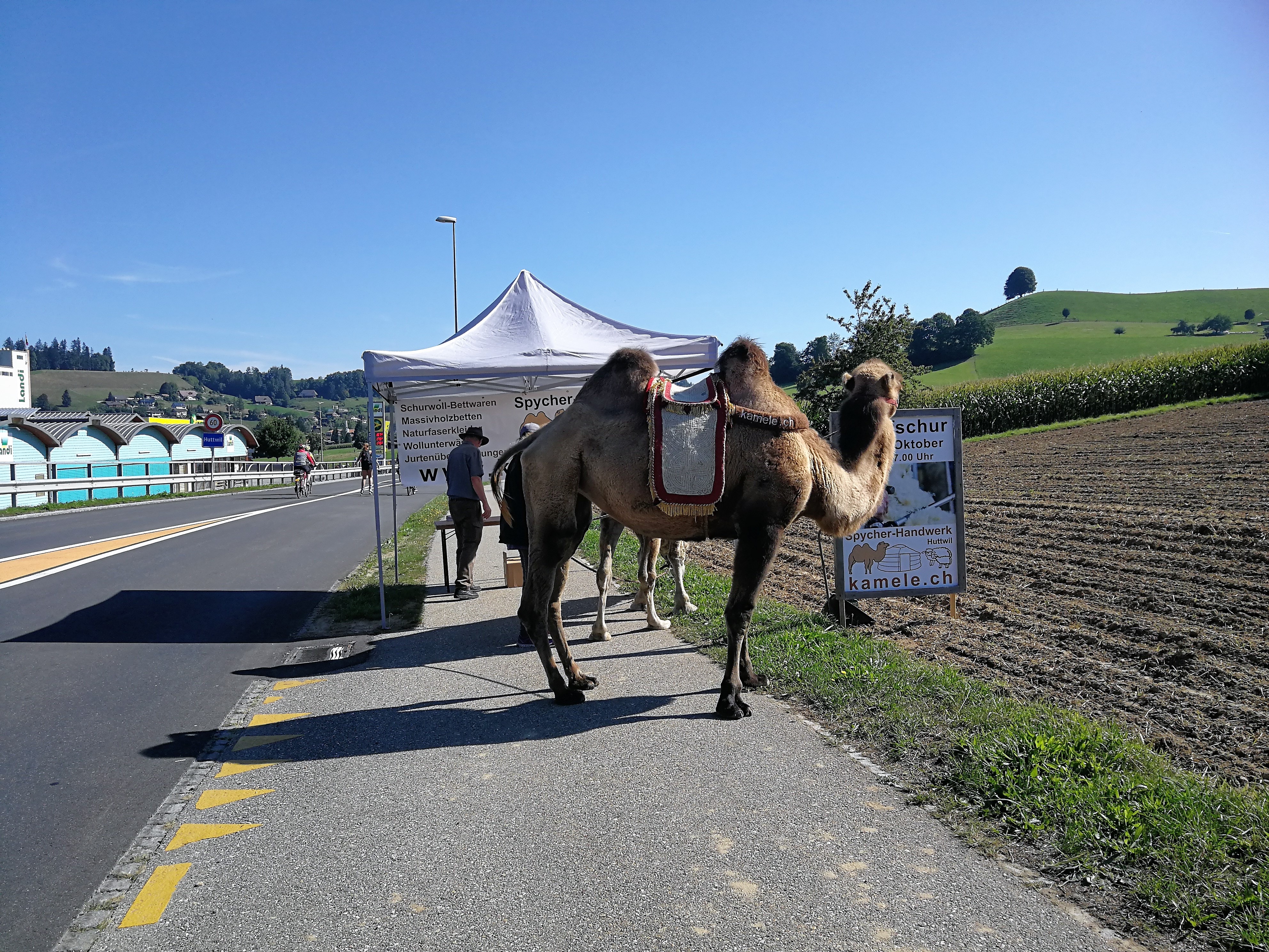 slowUp - ein perfekter Familienveloausflug - Unsere Schweizer Erlebnisse