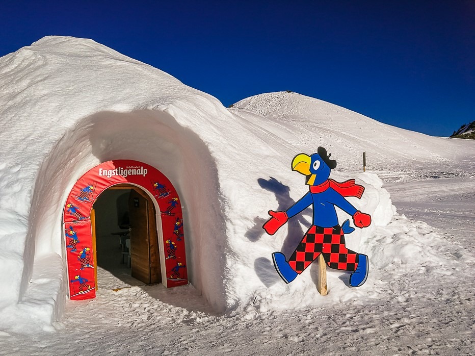 globi picknick igloo engstligenalp