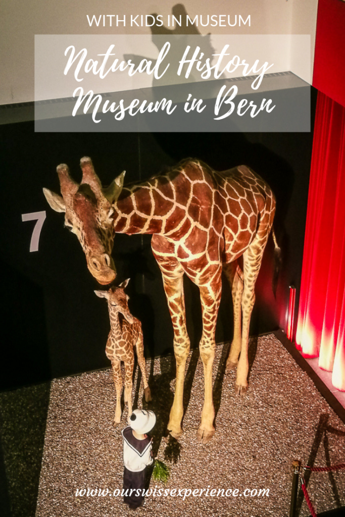 Natural History Museum in Bern visit