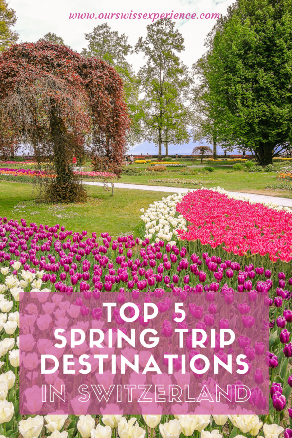 Top 5 blooming spring trip destinations in Switzerland - Our Swiss ...