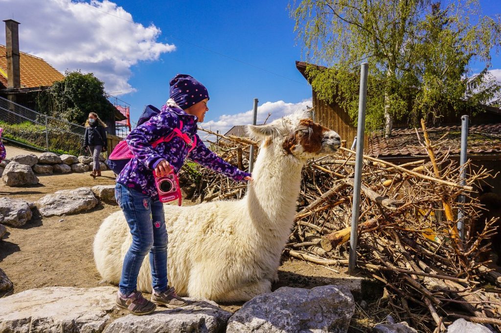 20 best zoos and animal parks in Switzerland - Our Swiss experience