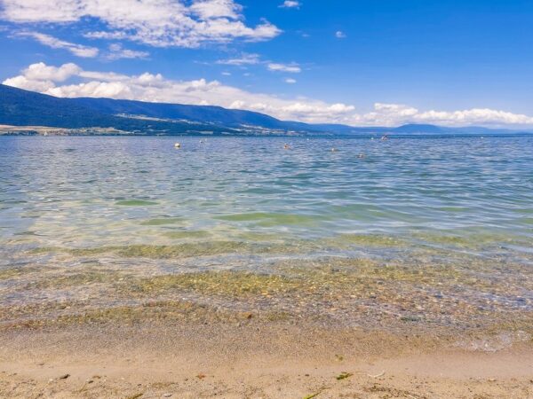 plage-des-pins-d-yvonand-the-perfect-seaside-illusion-in-switzerland