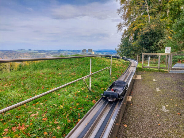 17 Best Alpine Coasters in Switzerland Our Swiss experience