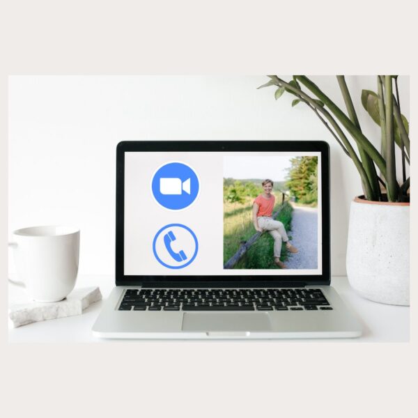 Travel Consultation (on-line meeting)